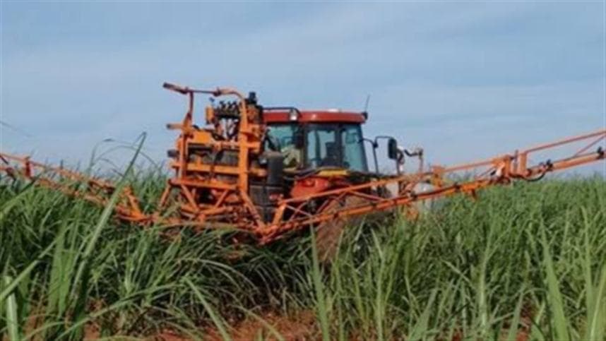 Tecnologia no manejo de boro proporciona ganhos no canavial