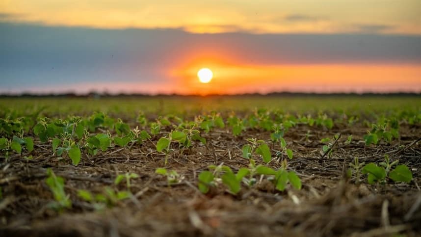 Aprosoja alerta para prevenção de incêndios no campo