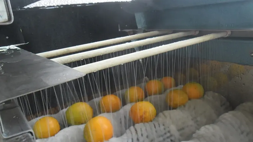 Tecnologia monitora transmissão do calor em frutas e ajuda a reduzir perdas na pós-colheita