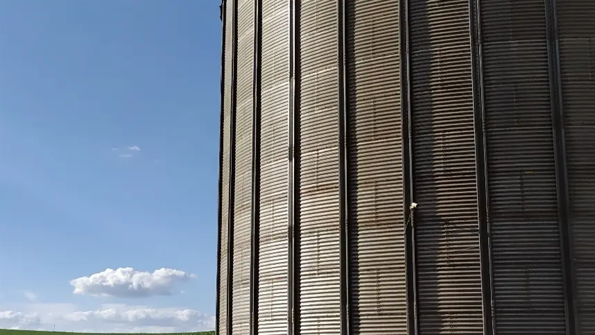 Veja como a limpeza dos silos garante qualidade dos grãos