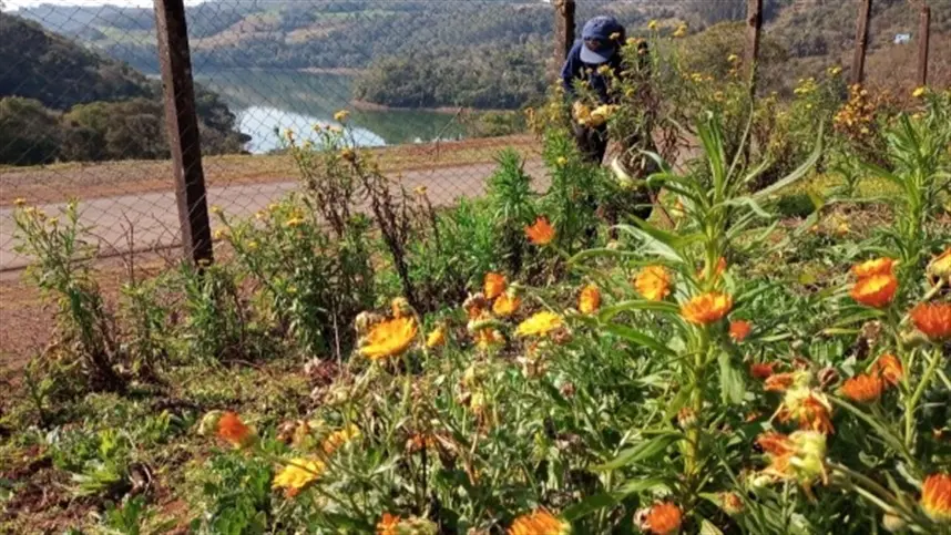 Emater/RS-Ascar promove trabalho de revitalização em comunidades rurais em Aratiba