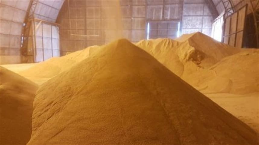 Produção brasileira de SPC é considerada inovadora