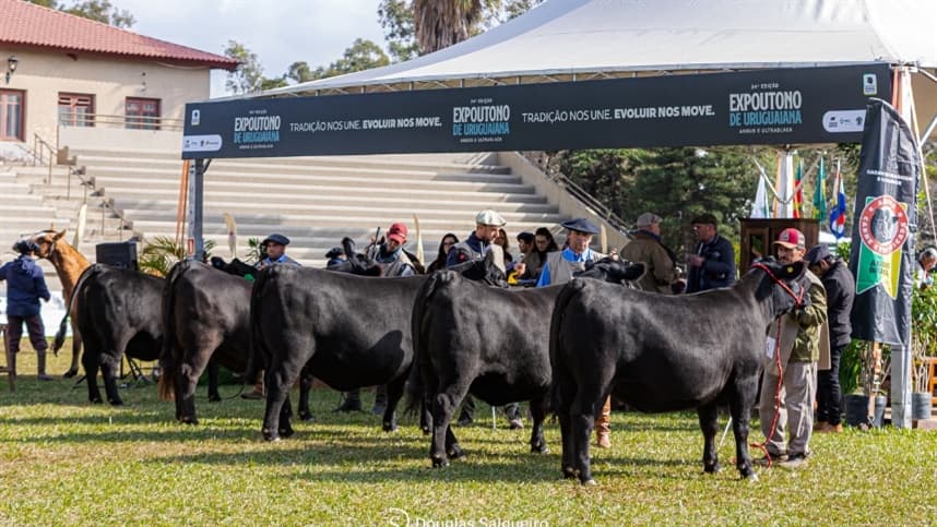 Associação Brasileira de Angus celebra resultados da 24ª Expoutono de Uruguaiana