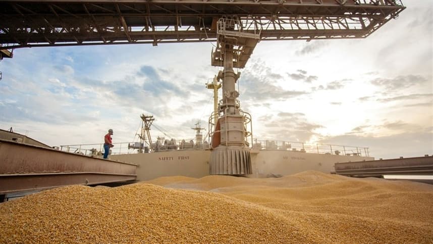 IDR-Paraná garante qualidade de grãos no Porto de Paranaguá