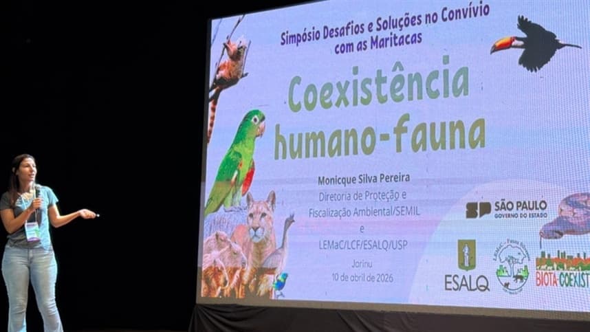 Mapa participa de simpósio sobre prejuízos causados por maritacas a agricultores