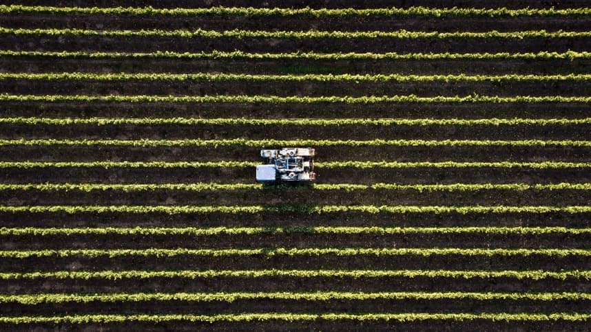 Mercado de fertilizantes especiais avança 7,7% 