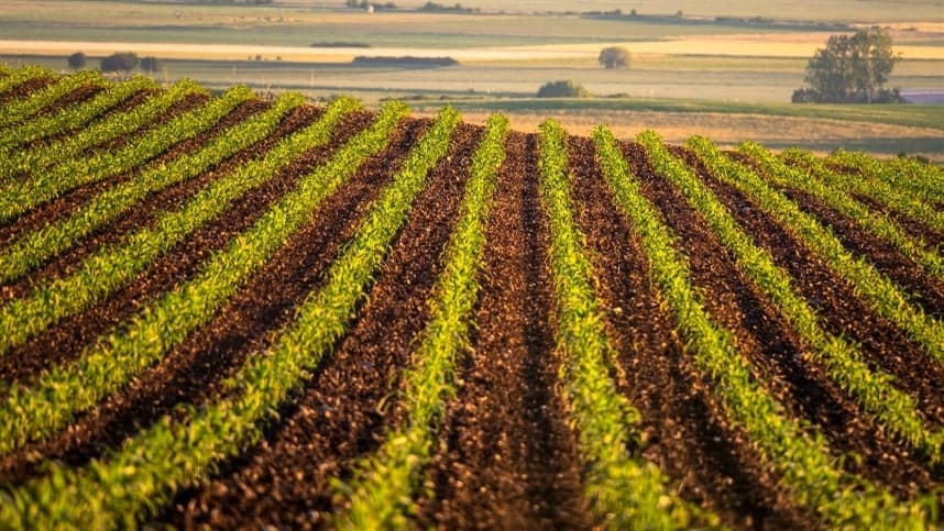 Embrapa lança plataforma para fortalecer segurança alimentar e gestão territorial índígena