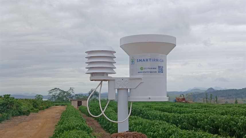 Cafeicultura capixaba testa IA para enfrentar desafios climáticos e economizar água