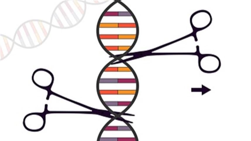 Biotecnologia é caminho para agricultura sustentável