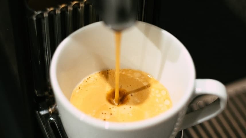 Cafeína ajuda abelhas a encontrar flores específicas