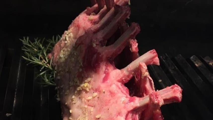 Do nascimento ao abate: cuidados elevam a qualidade da carne de cordeiro e trazem suculência à mesa