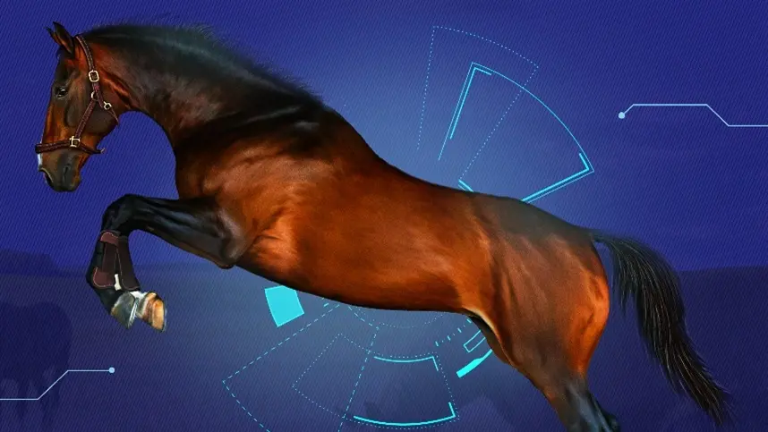 Ceva Saúde Animal lança portal de informação para o mercado equestre