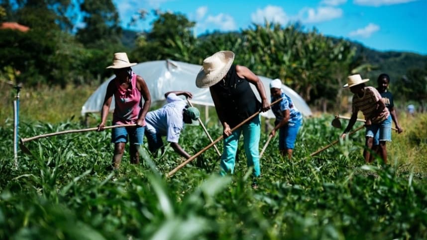 Seminário de plantio direto realizado pela Epagri discute sustentabilidade e desafios da produção agrícola
