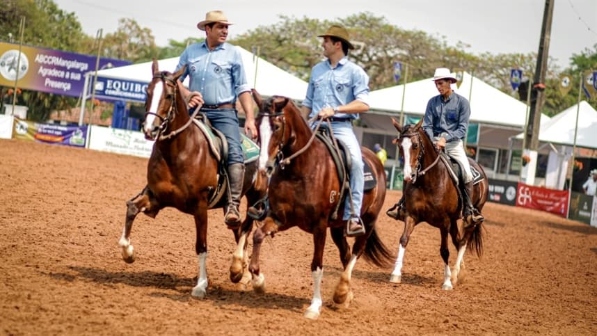 43ª Nacional Mangalarga acontece de 21 a 31 de outubro