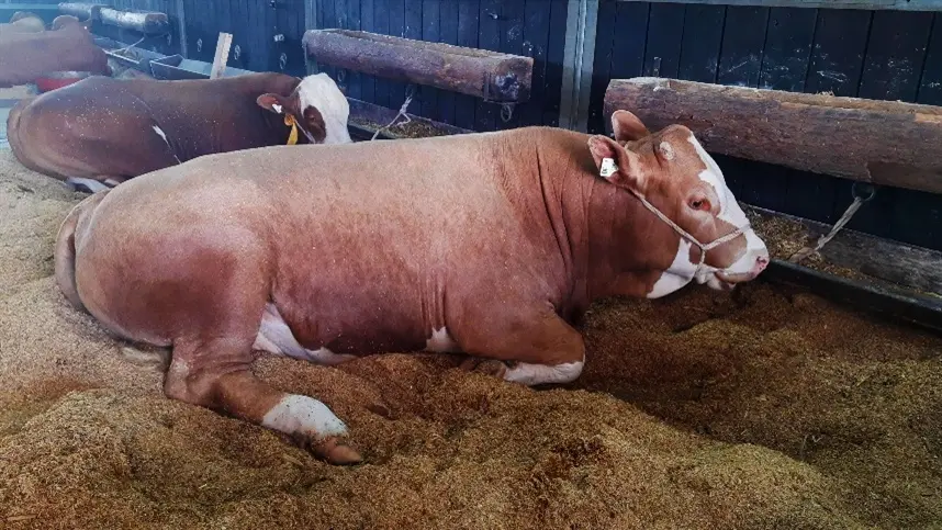 Tuberculina tem prazo de validade dobrado