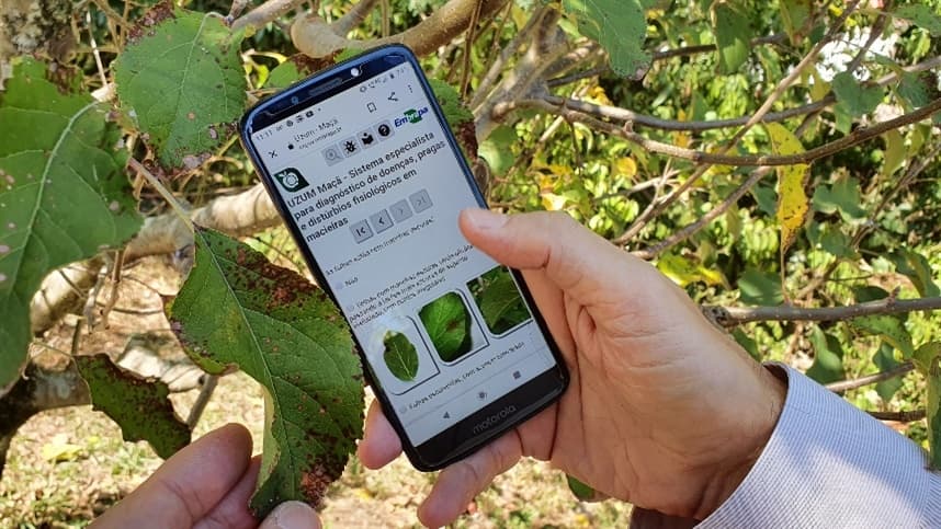 Maçã, Morango e Pêssego ganham sistema de diagnóstico virtual