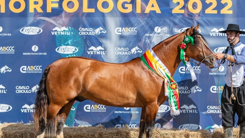 RS: Araranguá garante mais oito exemplares para a Morfologia na Expointer