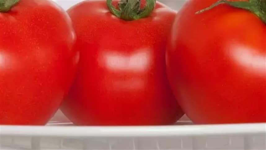 É melhor guardar o tomate na geladeira?