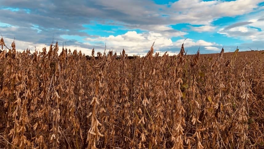 Valor Bruto da Produção Agropecuária é estimado em R$ 1,39 trilhão em julho