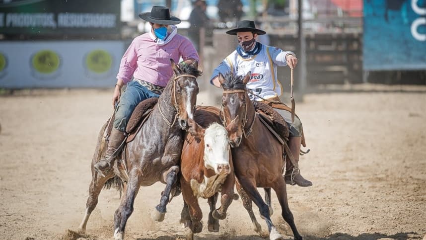 Final Nacional de Paleteadas define campeões do ciclo do Cavalo Crioulo