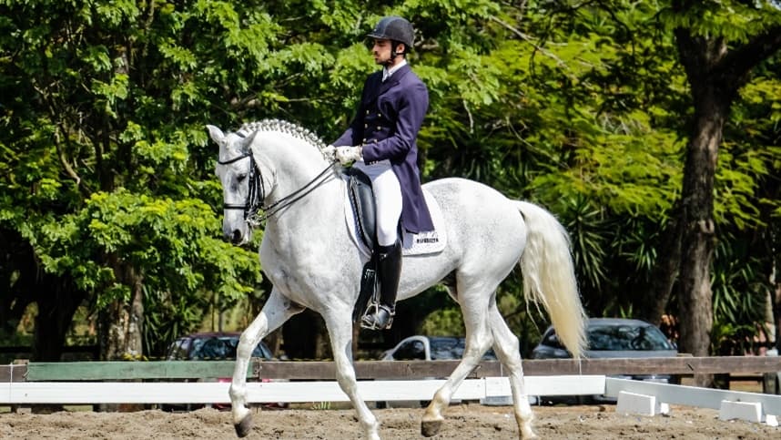39ª Expo Internacional do Cavalo Lusitano recebe a Taça São Paulo de Adestramento 