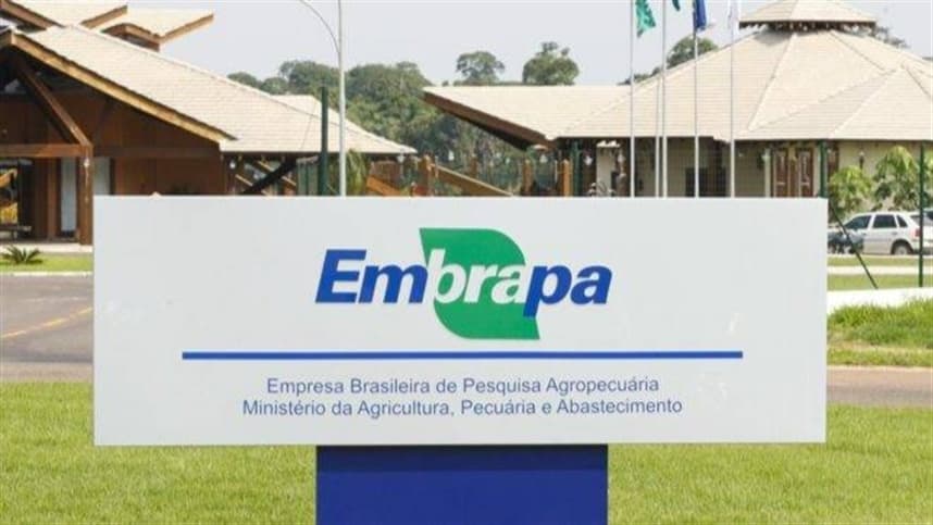Unidades da Embrapa têm novos chefes