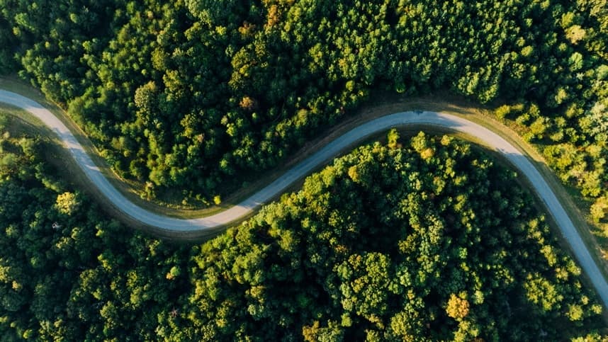 Projeto busca restaurar 600 mil hectares de vegetação nativa no Brasil