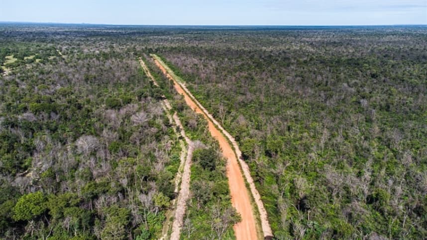 Regras para aceiros no Pantanal são atualizadas e passam a detalhar ações de prevenção e combate a incêndios