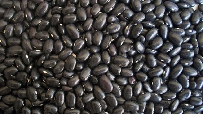 Associação de herbicidas para o controle de plantas daninhas em feijão do tipo preto