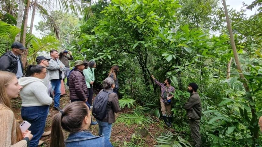 Agricultores do litoral participam de oficina sobre o cultivo de cacau