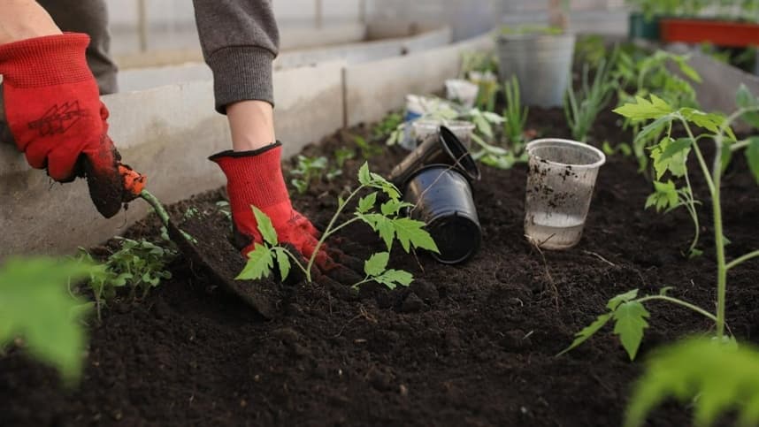 Como produzir fertilizante barato em casa