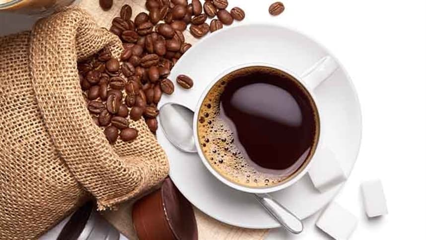 Café: o que avaliar antes de comprar mudas