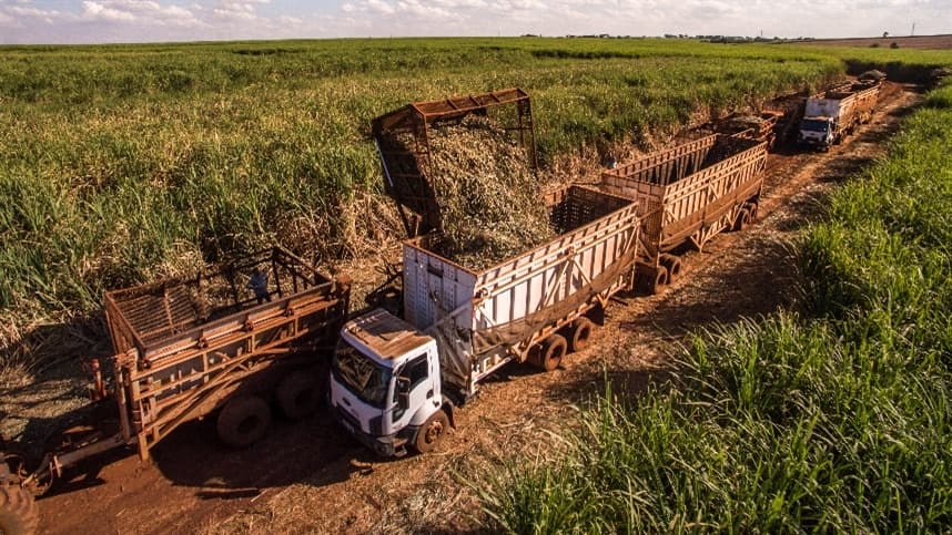 VBP do agro goiano deve chegar a R$ 106,6 bilhões em 2022