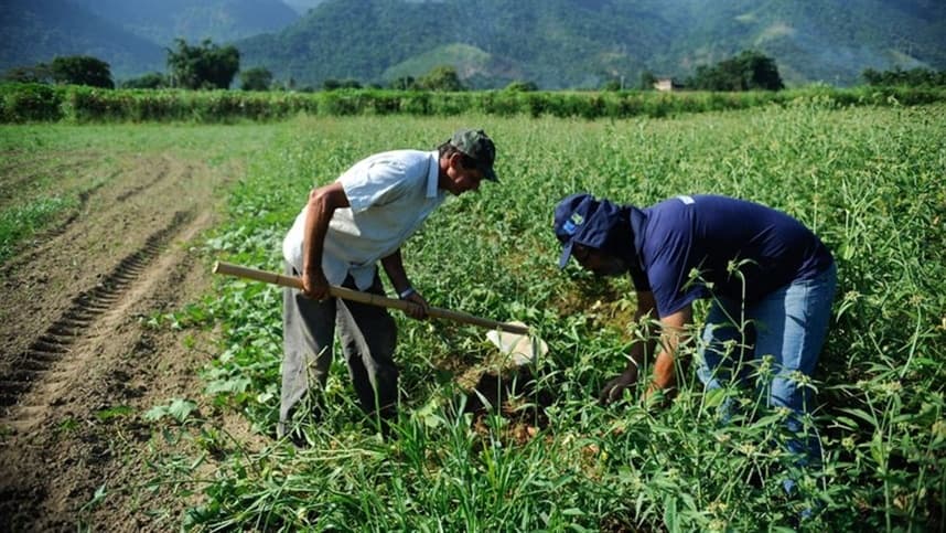 Acordo Mercosul-UE impulsionará agricultura familiar