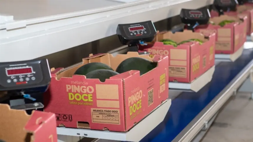 Frutas sem sementes ganham espaço nas gôndolas do supermercado
