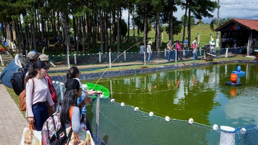 Emater/RS-Ascar prepara ações para Expodireto Cotrijal 2020