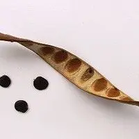 Miroró