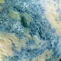 Verrugose da laranja doce