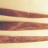 Queima foliar