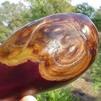 Podridão seca