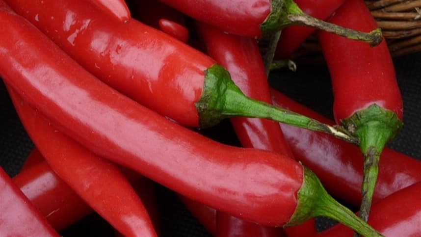 Pimenta combate praga agrícola