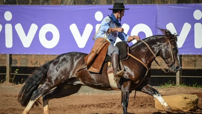 Leilão valoriza cavalo Sargento do Itapororó em R$ 4,95 milhões no mercado