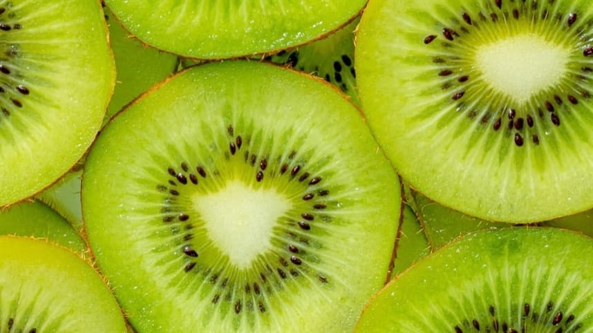 Produção de kiwi apresenta brotação adequada