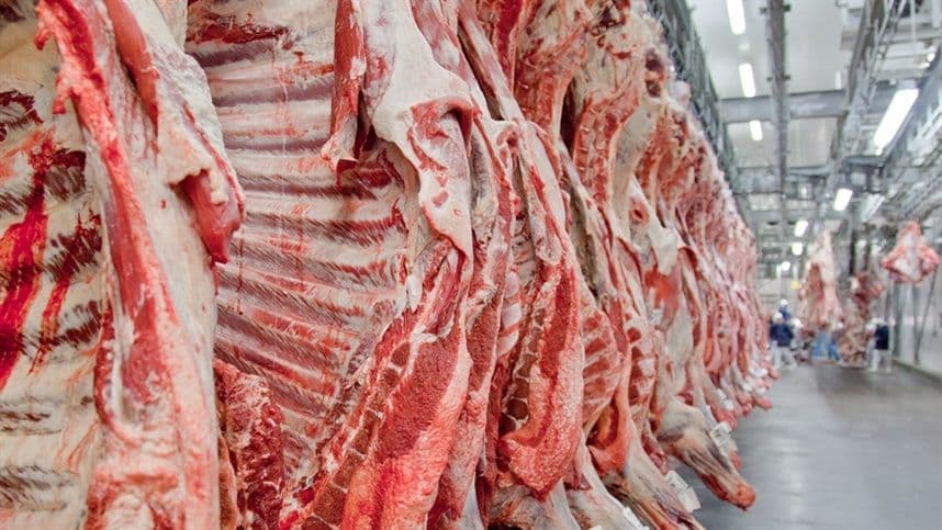 Exportações de carne bovina têm melhor resultado do ano