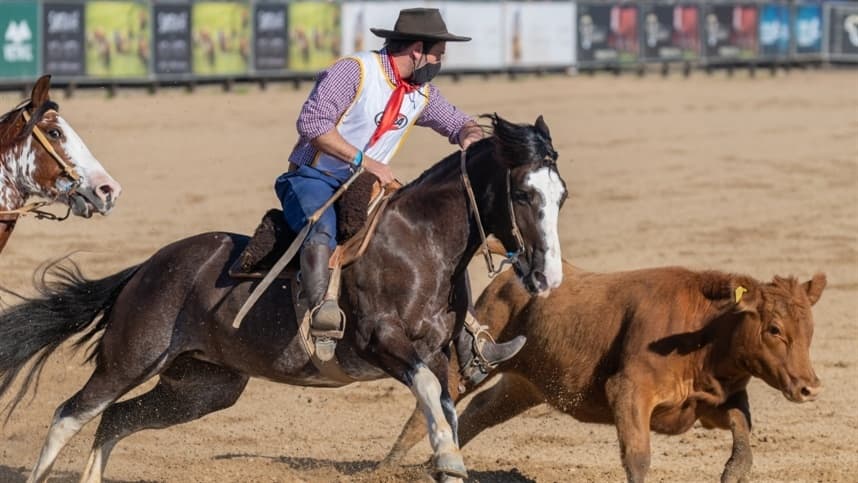 Pista do Cavalo Crioulo recebe Classificatória Gaúcha Sul durante a Fenasul Expoleite