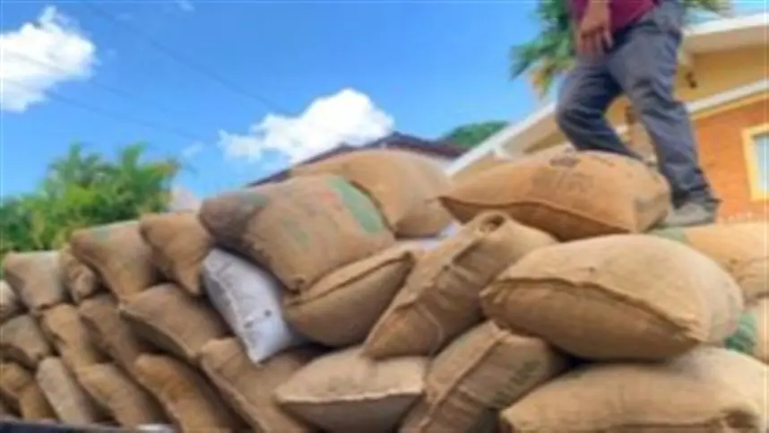 Movimentação no mercado de café arábica cresceu