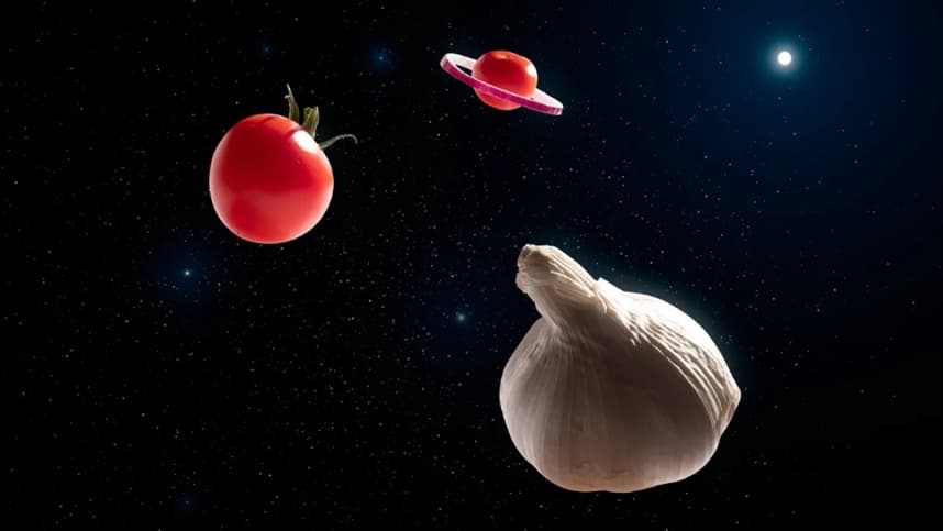 NASA inicia experimentos com tomates cósmicos