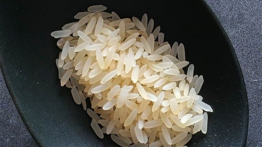 Sudeste do Piauí registra redução na produção de arroz