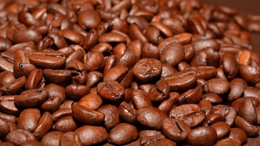 Manejo fitossanitário e fertilidade do cafeeiro são focos da Arysta LifeScience na 18º FEMAGRI em Guaxupé/MG