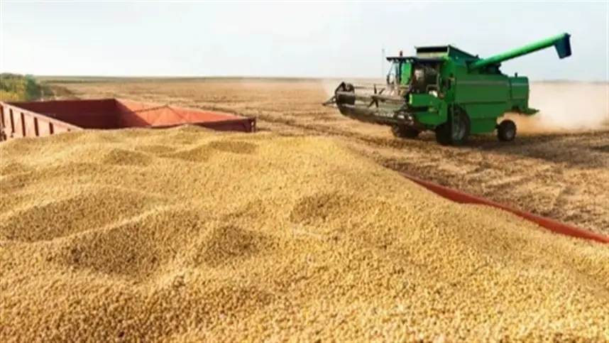 Entre os fatores de pressão está o endividamento de safras passadas